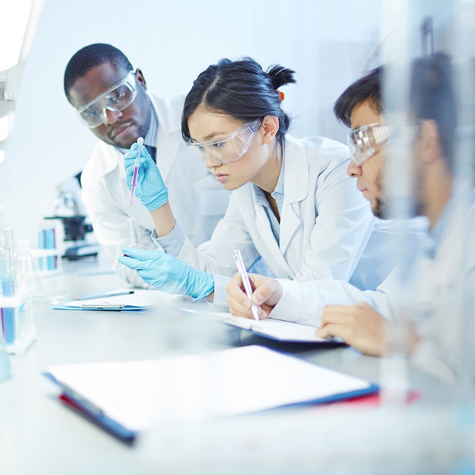 Auswertung von Wissenschaftlern